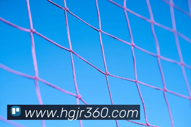 皇冠体育网站入口平台生态图